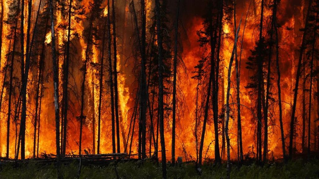The Shocking Truth About Wildfires: Why Climate Change Is Making Them Unstoppable 1 The Shocking Truth About Wildfires: Why Climate Change Is Making Them Unstoppable