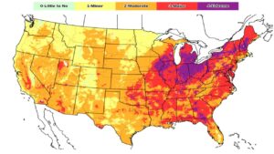East Coast Melts: Hottest Day in a Decade Hits — When Will It Finally End?