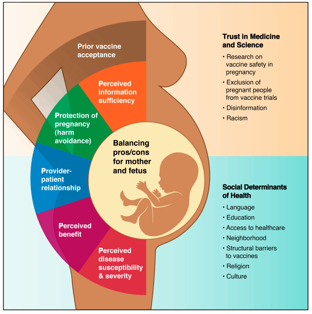 Expectant mother discusses COVID-19 vaccine options with her physician