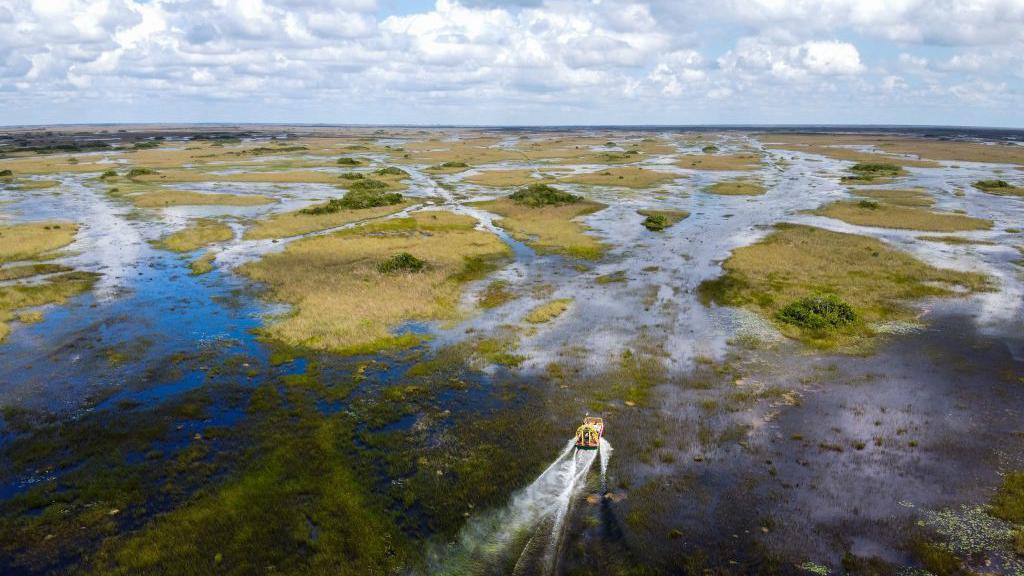 Florida Gets Major Federal Funding for Immigration Detention: Is 'Alligator Alcatraz' the Future of Detention Centers? 2 Florida to receive federal funds to build immigration detention sites