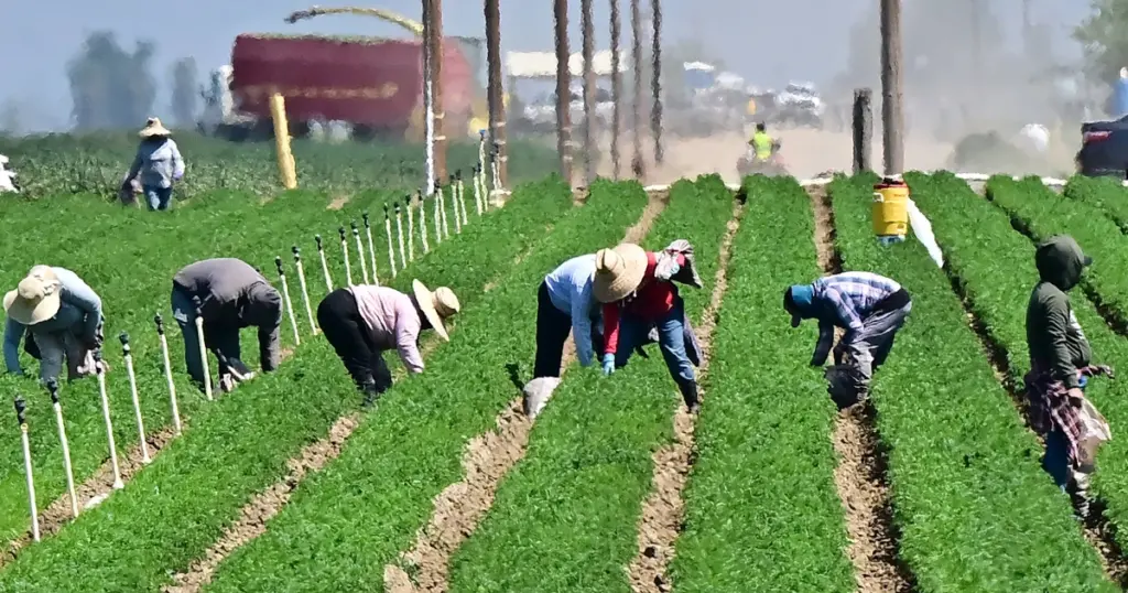 Trump Defends Migrant Workers Amid Crackdown—Is This the Start of a Major Policy Flip? 2 Trump vows changes to immigration crackdown to protect migrant farmers