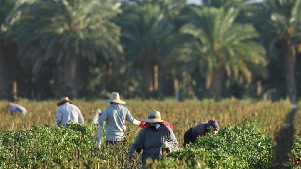 Trump’s Immigration Blitz Could Spark an Economic Meltdown in These Key Sectors 1 Trump’s Immigration Blitz Could Spark an Economic Meltdown in These Key Sectors