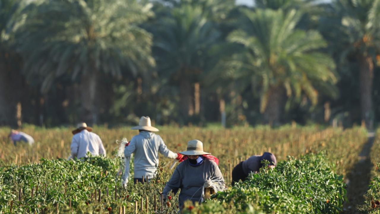 Trump’s Immigration Blitz Could Spark an Economic Meltdown in These Key Sectors